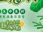 Kanas Rendezvous: Spring Promises - Discovering Little Beauties and Filling Your Heart with Spring's Fragrance