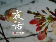 Night Talk | Lin Qing Xuan: The Mood of Sprouting