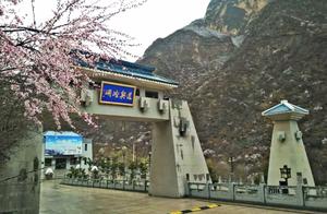Snow on Kongtong Mountain: Peach Blossom Snow is Spectacular!