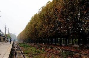 A Dilapidated Train Station Suddenly Becomes a Popular Instagram Spot!