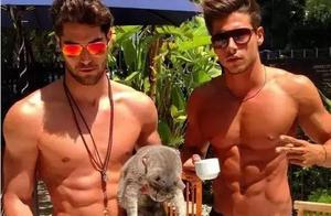 Want to Build Abs? First, Do This Self-Test, and Those Who Pass Can See Abs by Just Losing Fat!