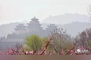 Qingzhou Ten-Mile Peach Blossom Valley - Come and Discover!