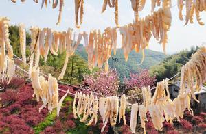Faming Mountain Zisheng Township Spring Bamboo Shoots – A Local Delicacy Loved by Ningbo Residents