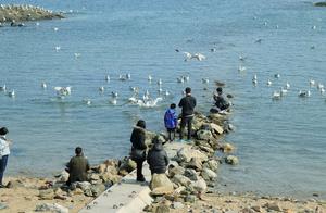 Beautiful Seaside Scenery in Qingdao, Citizens' Favorite Fishing Spot