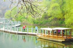 Spring Bloom, Reopening of Beauty