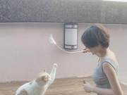 A Beautiful Girl's Daily Life Can't Be Without a Cat - So Cute!