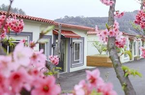 Waiting for You in Yingtan's Scenery During the Cherry Blossom Spring