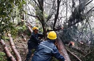 Temporary Closure Notice for Hunan Provincial Forest Park