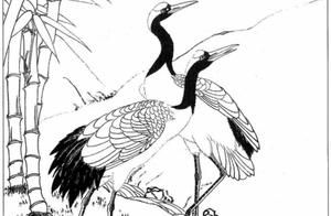Line Drawings of Cranes: A Clear Sky, One Crane Amidst the Clouds, Inspiring Poetry to the Azure Heavens.