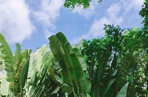Experiencing Freshness with New People in New Places – Everything Becomes Fresh