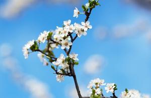 Noisy Spring