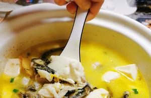 Ang Ci Yu Tofu Soup - Rich in Amino Acids, Tender Meat