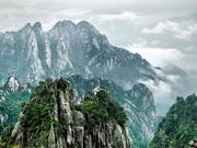 New Species Discovered in Huangshan (Anhui) Resembles Rat