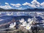 Fleeting Moments of Brilliance