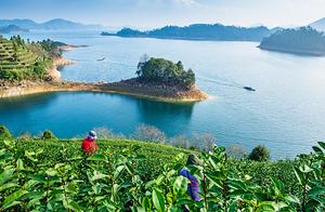 LensSpring Fills Human Life: Abundant Vitality