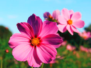 The Eightfold Suffering: How Much Suffering Have You Experienced?