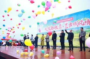 Fifth Wugong Ancient City Rape Blossom Tourism Festival is Here! Boosting the City's Culture and Tourism Industry Recovery