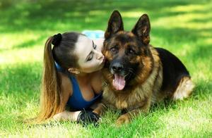 The 6 Things a German Shepherd Values Most – It Will Dedicate Itself to You If You Give Them To It