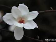 To bring joy to others is compassion, and to find joy oneself is a responsibility.