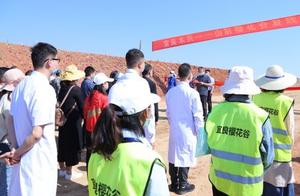 Convenient Cherry Blossom Viewing in Yili: Express Line Road to Cherry Blossom Valley Opens