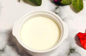 Classic Cantonese Sweet Dessert: Double Skin Milk (from Shun Di)
