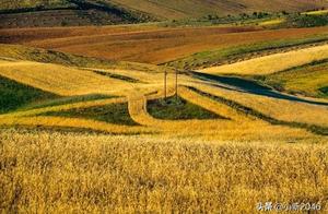 Mo Lei: A Place You've Visited and Long to Return To