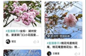 Live Preview | Xixi Wetland Hongyuan's Spring is Ready! Zhou Xiao You Takes You Out to Play
