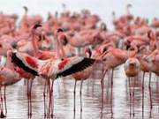 There is a River Called ‘The River of Death’ That Attracts Animals, Turning Them into Living Fossils