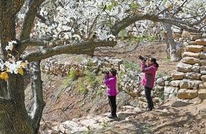 Linyi Photo Album | Linyi City: The Most Beautiful 'Yingmeng Spring'