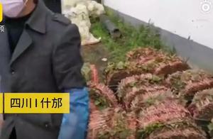 Sichuan Proactively Sends Recipe to Hubei
