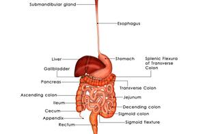 Effective Methods for Weight Loss