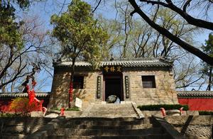 Silver Willow King in Jucun, Rizhao, Gets ‘New Clothes’; Fulishan Scenic Area Welcomes New Visitors