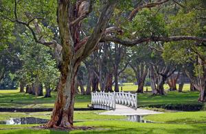 Top 10 Free Attractions in Australia