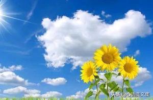 Motivational and Positive Sentences - Read and Conquer Difficulties