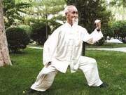 Using the Waist in Tai Chi