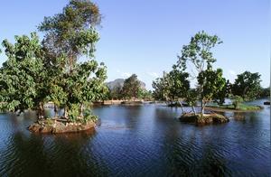 Travel and Explore the World: There's a Place in Malaysia Called 'Batu Pahat,' What Is It Like?