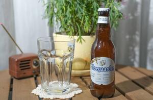 Taste Without Bitterness and with Fruity Aroma: Fukujia White Beer Light Experience
