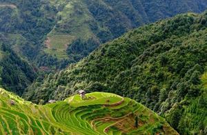 Rice Terraces Flood Season Arrives! These Beautiful Guizhou Rice Terraces Look Like Watercolor Paintings - Don't Miss Out!