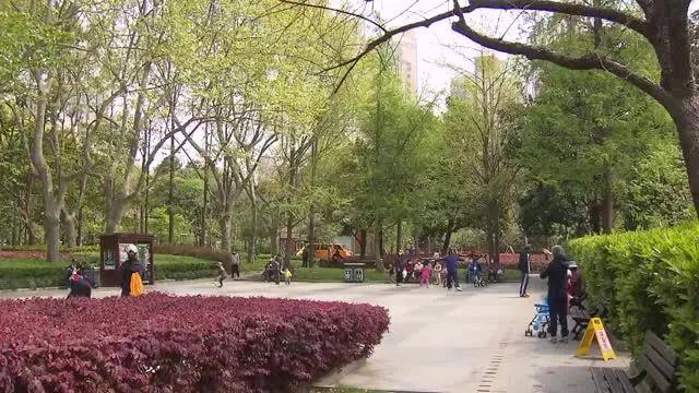 「上观新闻」明天降雨又降温!出门注意做好防护