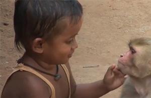Monkey Hugs Human Child, Mother Laughs, Claims It's Gratitude
