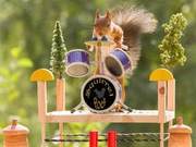 What Harmony Between Man and Nature Means According to Squirrels Seen Through the Lens of a Swedish Photographer