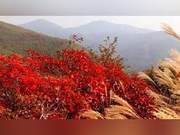 White Cloud Mountain (Zhibo)