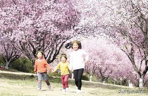 Meeting You, in the Warm Spring and Blooming March