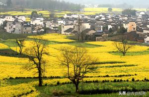 Huangshan, Anhui: A Captivating Spring Landscape of Southern Anhui