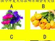 Which flower do you like best this summer, and what big surprises will you receive?
