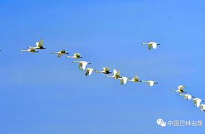 Balin Right Banner, Chifeng: Arriving as Planned, Making the Most of the Spring
