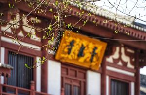 Scroll of Spring Views in Chang'an: Observing the Flowers at Qinglong Temple