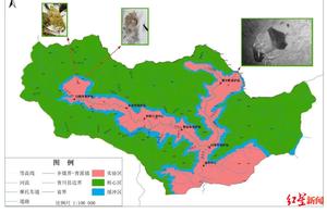 Giant Pandas Branch Out, 'Flying Squirrels' Glide High... Springtime at Tangjiahe Nature Reserve is Lively