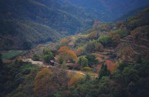 Wuyuan Ancient Charm: Brick Walls and Gray Tiles in Mountain Villages