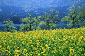 Spring Views from Wuhu and Tongcheng